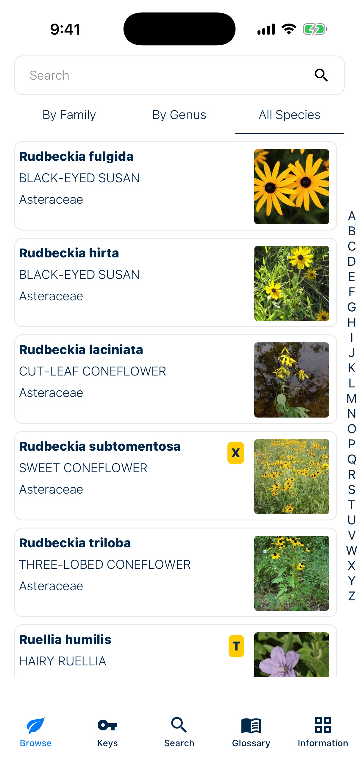 Browse Page View of Michigan Flora App
