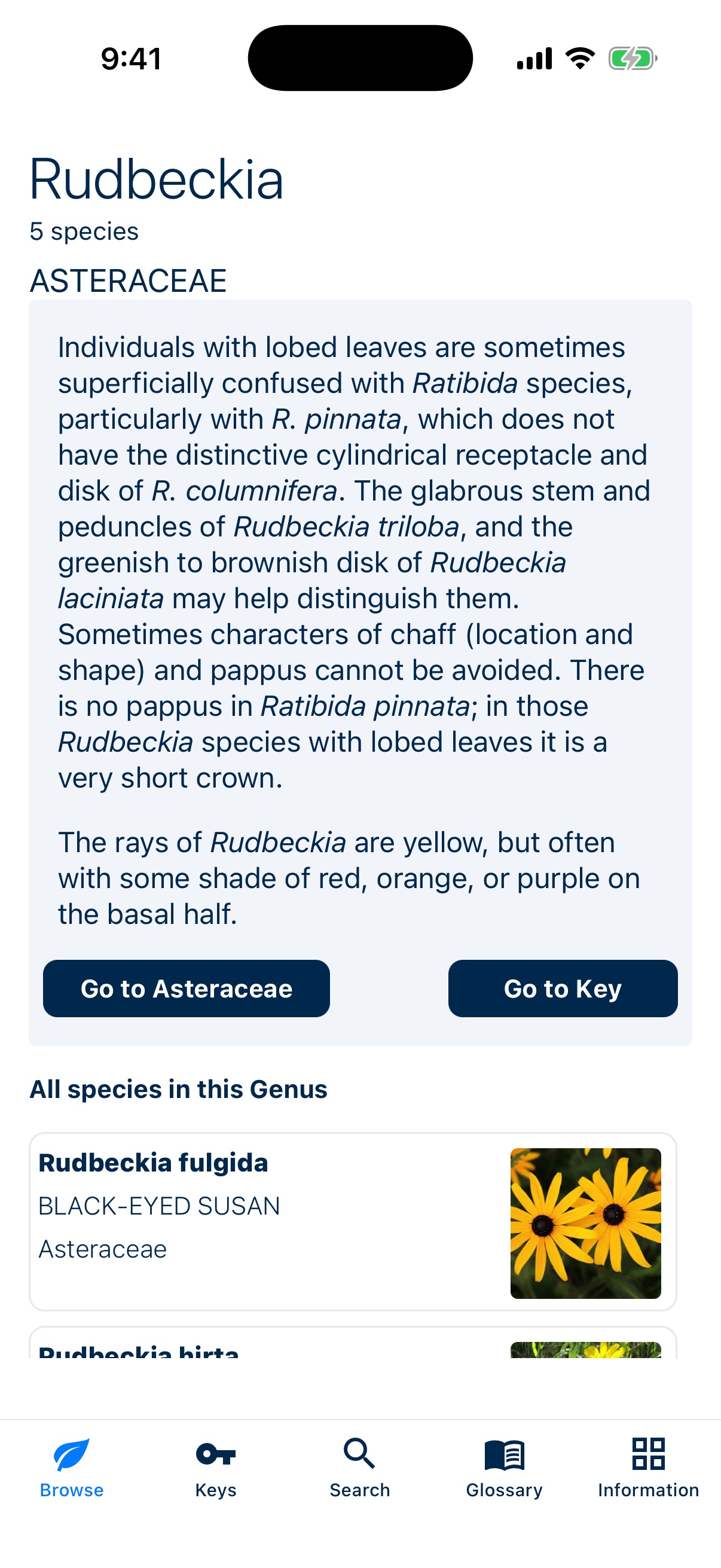 Genus Page View of Michigan Flora App
